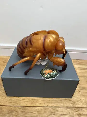 매미의 빈 껍데기 피규어 오렌지 약 20cm