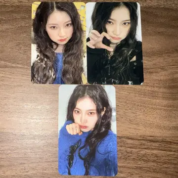하움 트레이딩 카드 3장 세트