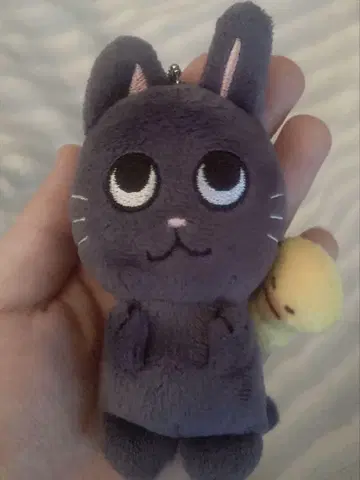 RIIZE 라이즈 원빈 공식 발렌타인 10cm 키링