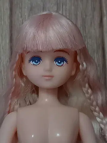 팔레트 F