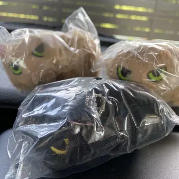 귀여운 고양이 봉제 인형 3종 세트