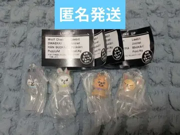 straykids SKZOO 가챠 메지루시 세트