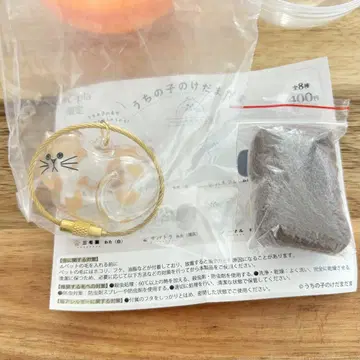 녹 고양이 C-pla 한정판 우리 집 고양이 털 가챠 반려동물 털 보관함