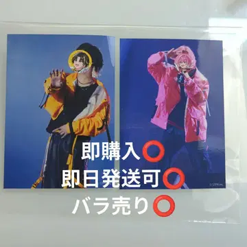 랜덤 브로마이드 STPR expo