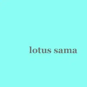 블랙 lotus 님