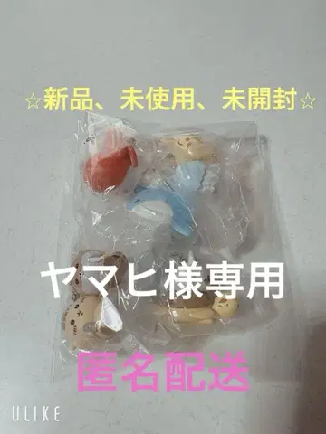 치이카와 치이카와 수족관 키링 5종 세트