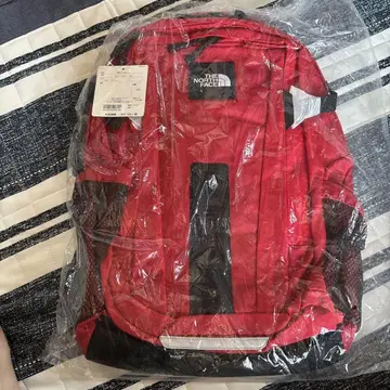 노스페이스 핫샷 SE NR TNF 레드 30L