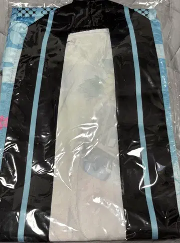 아오자와 에마 법복