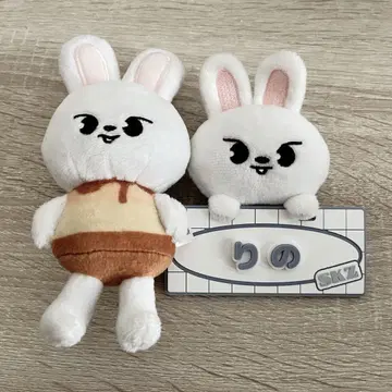 skzoo Lee 비트 참 세트