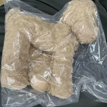 토이 푸들 봉제 인형 타치