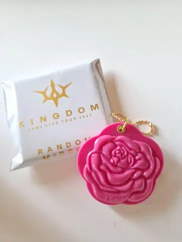 이와타 타카노리 KINGDOM 2025 LIVE TOUR 키링