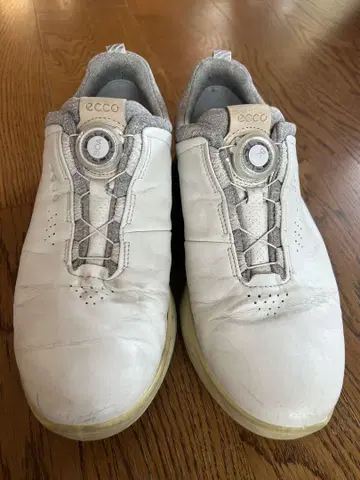 에코 남성용 골프화