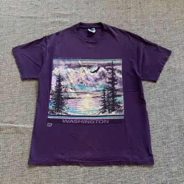 Lake Chelan 티셔츠 90s