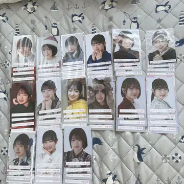 사쿠라자카46 코지마 나기사 18종류 풀 컴프
