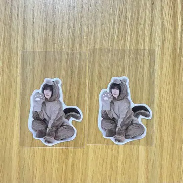 사쿠라자카46 후지요시 카린 동물 인형옷 스티커 2장