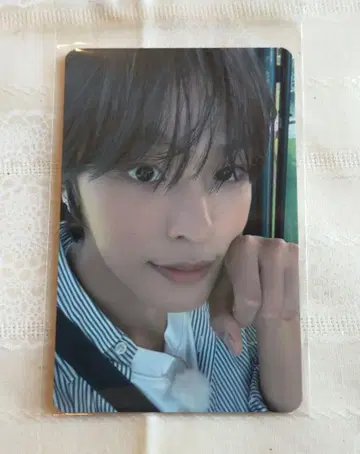 NCT WISH 리쿠 steady beatroad 라키드로 혜택