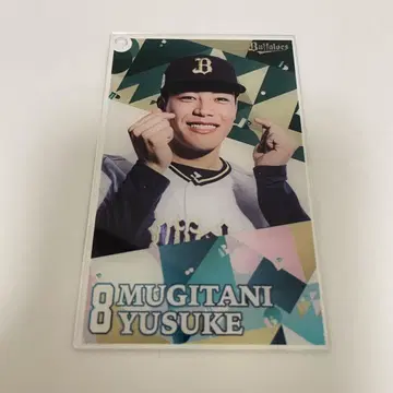 맥곡 유스케 콜로차레 C상