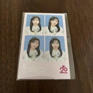 오구리 유이