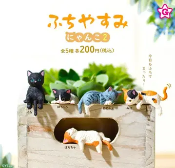전 5종 풀 컴프 세트 [후치야스미 냥코 2] 고양이 고양이 네코