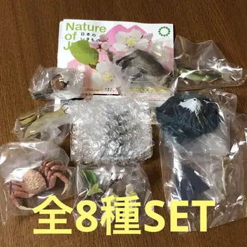 Nature of Japan 일본의 생물 03 전 8종 SET