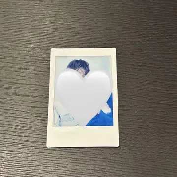 카미무라 켄신 모토지마 스미마사 폴라로이드