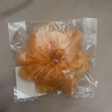 시노미야 나츠키 스크런치