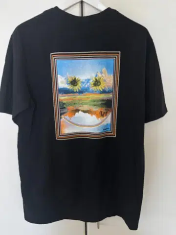 patagonia M's 50 Year Responsibili-Tee