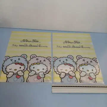키티 Veve & Rara A4 클리어 파일 2장 도쿄 여자 대학