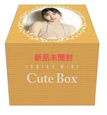 미리 이치카 Vol.3 트레이딩 카드 Cute Box