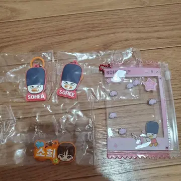 RIIZE 푹신한 메지루시 액세서리 RIIZE PARK PVC 소희
