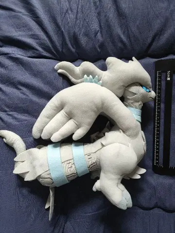 택 포함 포켓몬 레시라무 조금 큰 봉제 인형 베스트 위시