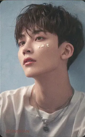 SEVENTEEN HMV JEONGHAN 흩날리는 꽃잎 Blue