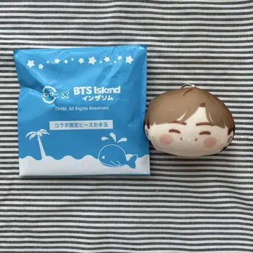 BTS 인더섬 스시로 손안에 쏙 봉제 인형 V 태태 태현