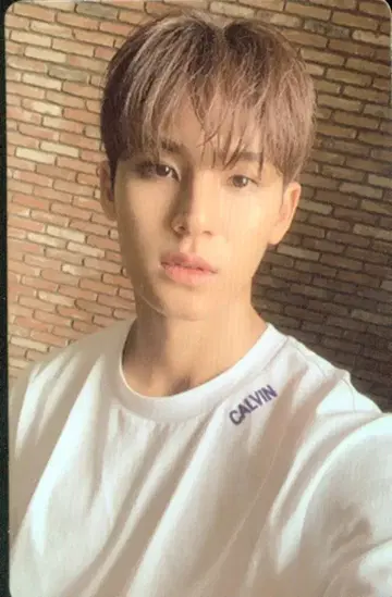 SEVENTEEN An Ode MINGYU 트레이딩 카드 파랑