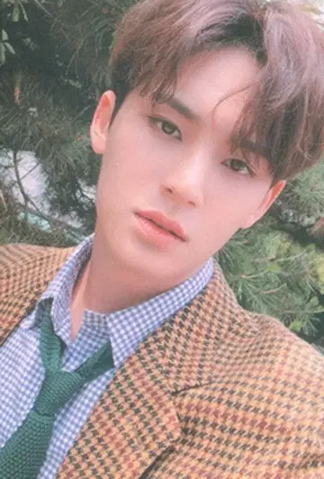 SEVENTEEN An Ode MINGYU 트레이딩 카드 브라운