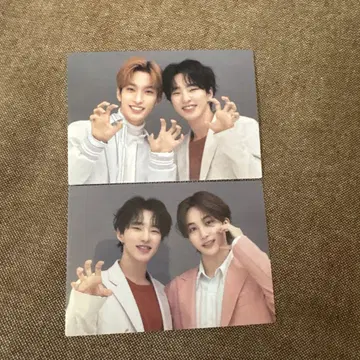SEVENTEEN 페어 트레이딩 카드 HARE 호시 도겸 정한