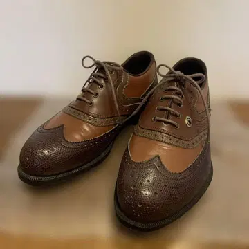 마루망 maruman 브라운 남성용 골프화 24.EE 끈 신발 새상품급