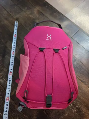 HAGLOFS 호글롭스 백팩 핑크색