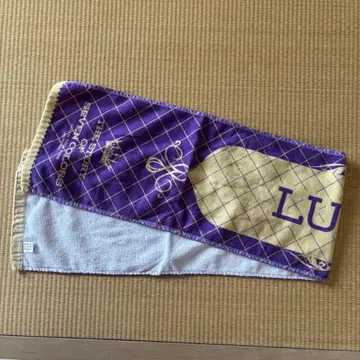 나카가와 루카 FRUITS ZIPPER OSHI API 타월