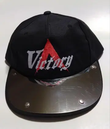 THE ALFEE 여름 이벤트 93년 Victory 모자