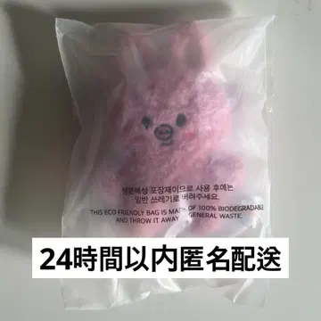 스트레이키즈 스키조 첸빈 데키 dwekki 마이크로