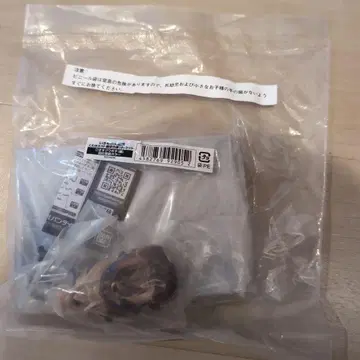 생물대도감 오쿠와가타(번데기) 깃털이 나기 직전의 컬러 온라인판