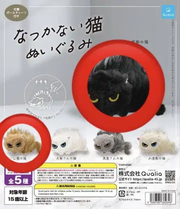 친근하지 않은 고양이 봉제 인형 집 고양이 공원 고양이