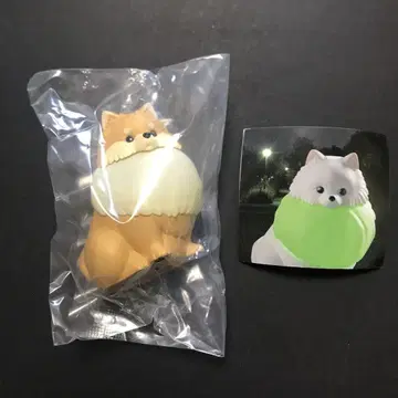 빛나는 목걸이를 한 오산포 포메라이트 가챠 오렌지 1
