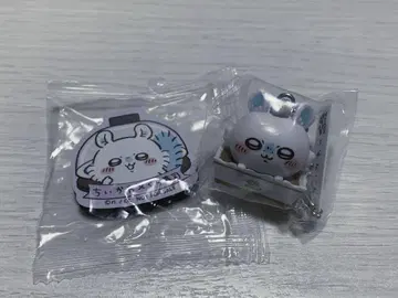 치이카와 쿠라스시 모몽가 세트