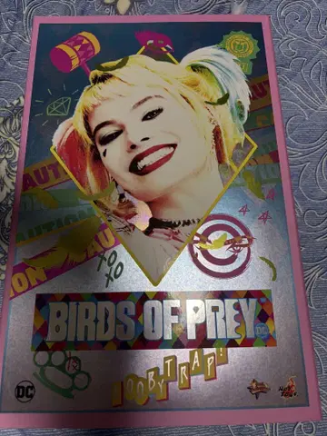 핫토이즈 BIRDS OF PREY 할리 퀸 피규어