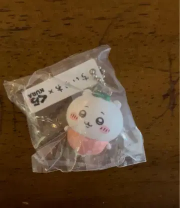 치이카와 쿠라스시 콜라보