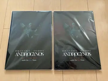 ANDROGYNOS 팜플렛 2권 세트 DIR EN GREY PIERROT