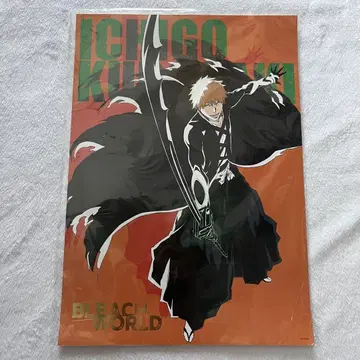 BLEACH B상 포스터 쿠로사키 이치고