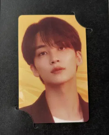 HYBE INSIGHT 세븐틴 정한 트레이딩 카드
